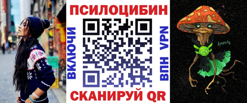 Галлюциногенные грибы Psilocybe  Энем 