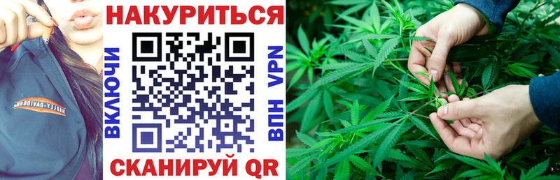 Каннабис ГИДРОПОН  Энем 